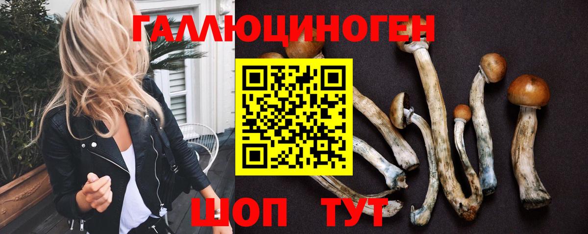 Ачхой-Мартан  Псилоцибиновые грибы GOLDEN TEACHER  Вход с VPN 